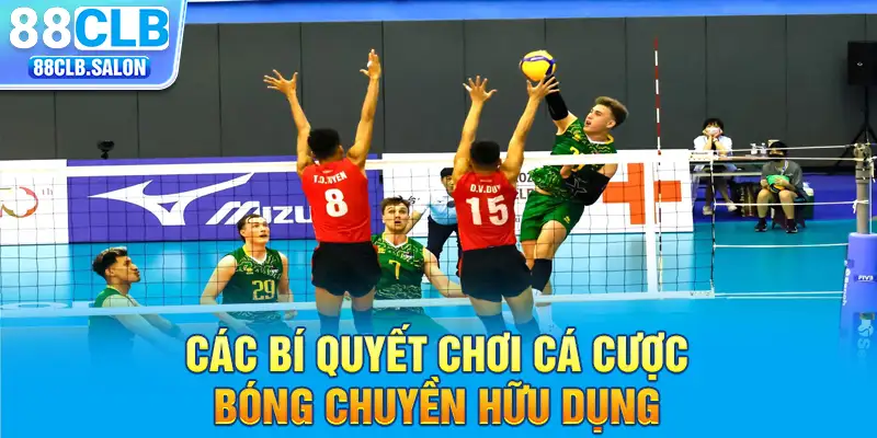 Các bí quyết chơi cá cược bóng chuyền hữu dụng